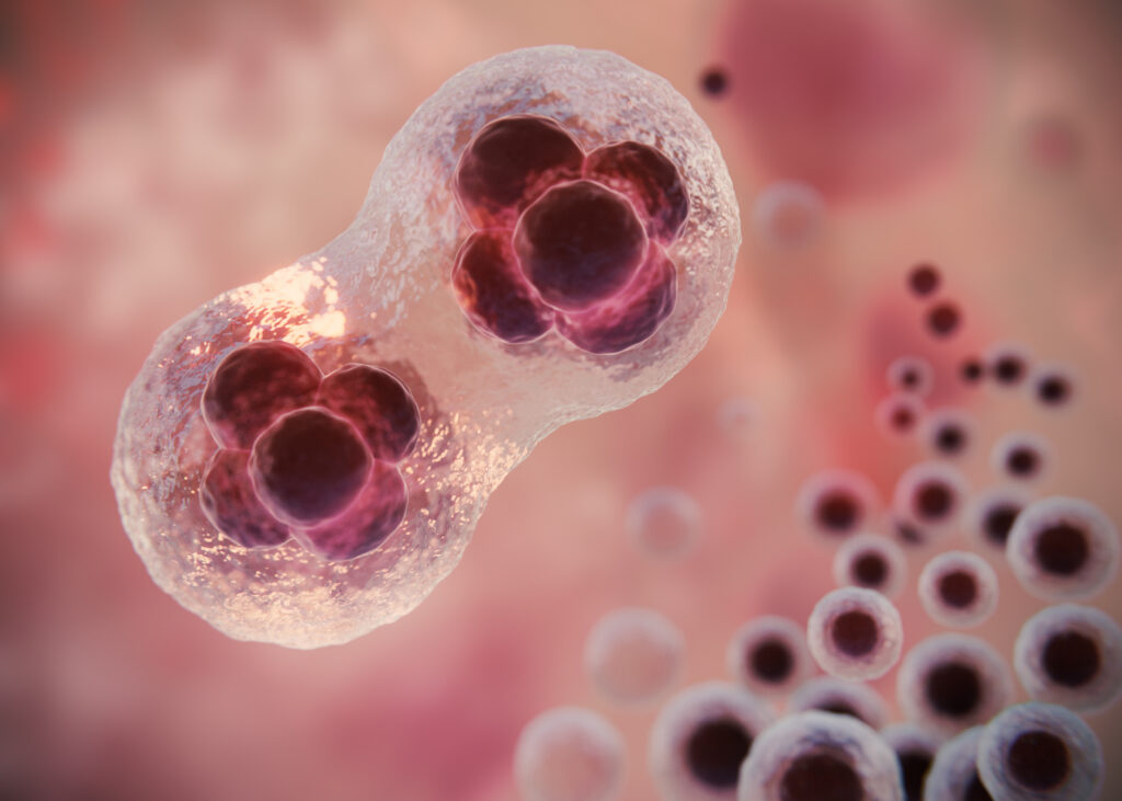 Донація статевих клітин